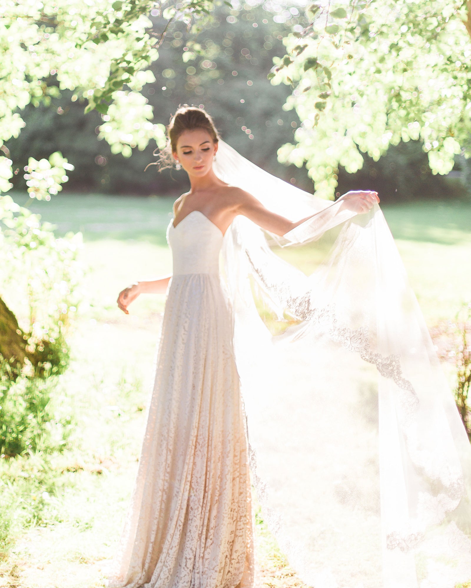 Pink Magnolia White Lace Wedding Veil Magnolia: Plain Cathedral Veil main image 2